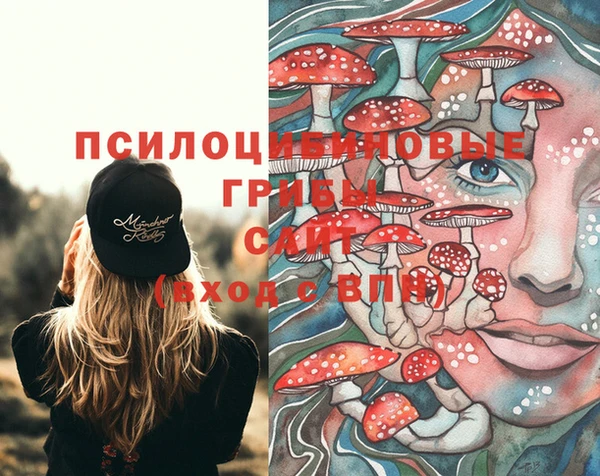 скорость Алексин