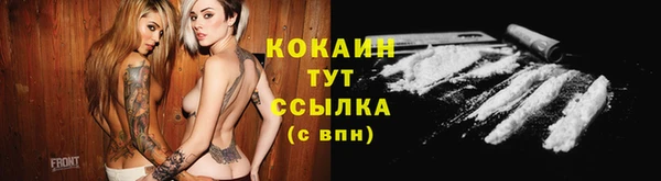 прущие грибы Алексеевка