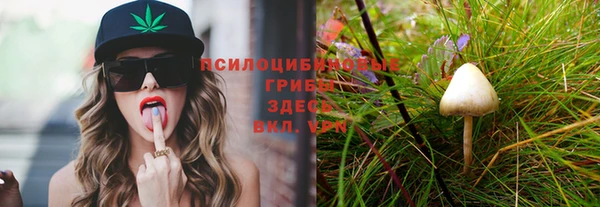 прущие грибы Алексеевка