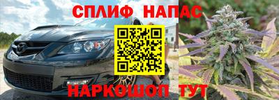 ешки Моздок