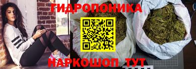 гидропоника Можга