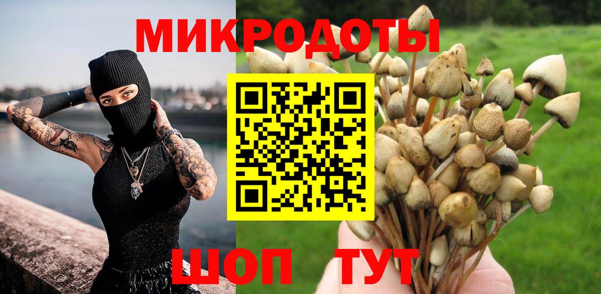 Галлюциногенные грибы Magic Shrooms Пермь