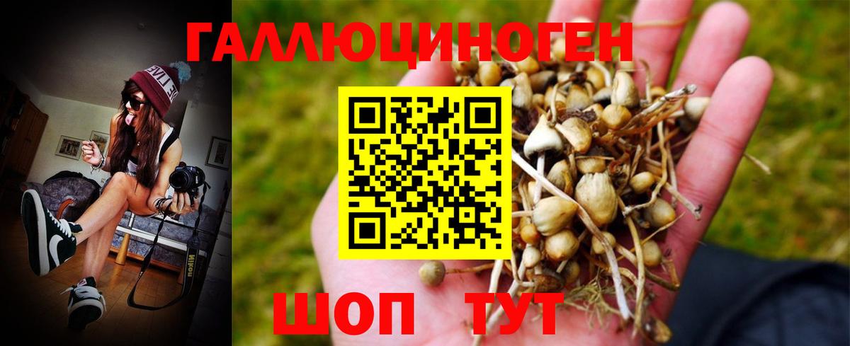 Пермь  Галлюциногенные грибы MAGIC MUSHROOMS  Псилоцибиновые грибы Psilocybe  Вход с VPN 